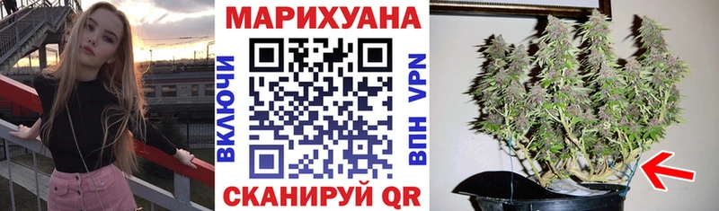 Какие есть наркотики Сольцы Кокаин  Галлюциногенные грибы  Гашиш  Alpha-PVP 