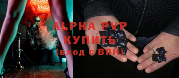 индика Арсеньев