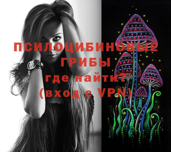 ECSTASY Армянск