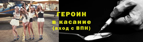 индика Арсеньев