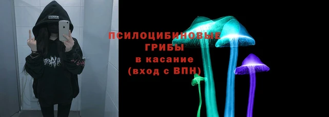 ECSTASY Армянск