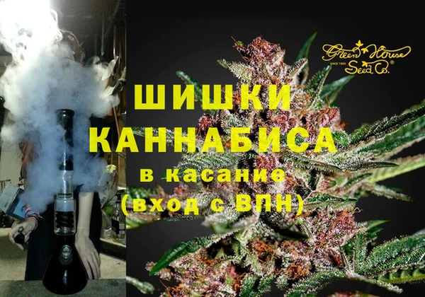 индика Арсеньев