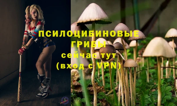 таблы Аркадак