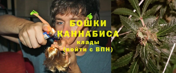 индика Арсеньев