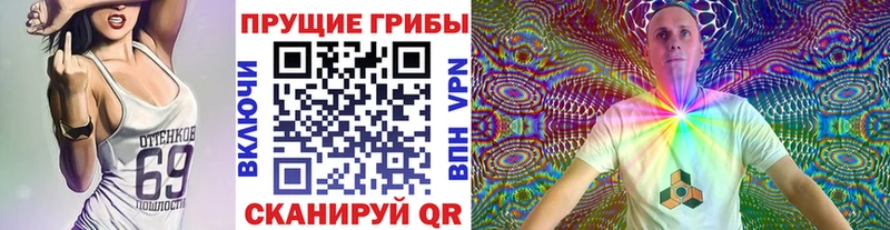 цена   Сольцы  Псилоцибиновые грибы прущие грибы 